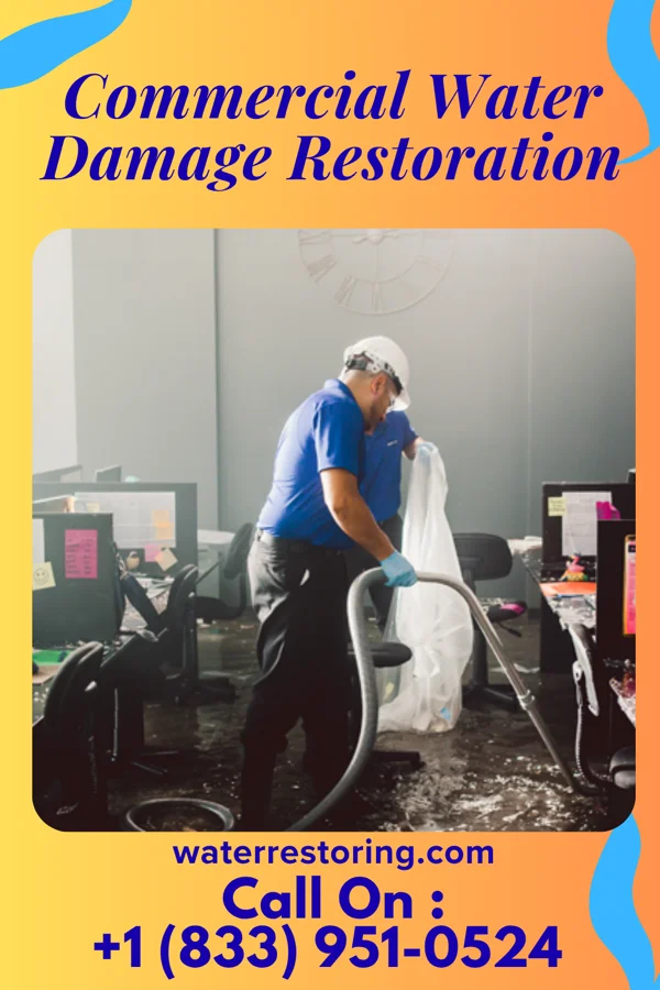Commercial Water Damage Restoration in Campobello, SC