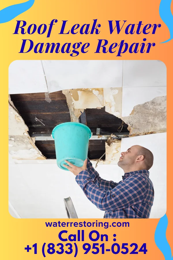 Roof Leak Water Damage Repair in Campobello, SC